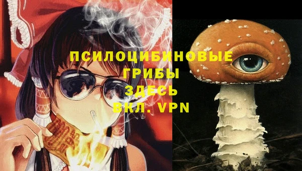 ALPHA PVP Алексеевка