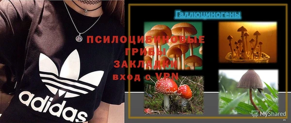 не бодяженный Алексин