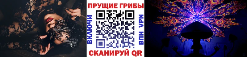 Галлюциногенные грибы MAGIC MUSHROOMS Черноголовка